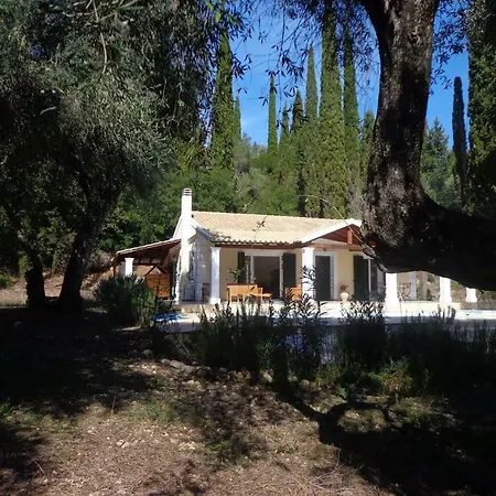 Villa Forest *